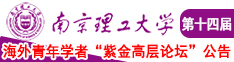 大鸡耙尻逼视频南京理工大学第十四届海外青年学者紫金论坛诚邀海内外英才！